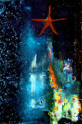 aquarium / 60 x 40 