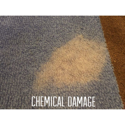 How To Remove Bleach Stains on Carpet? - Professional Carpet Dyeing _  DyeBold