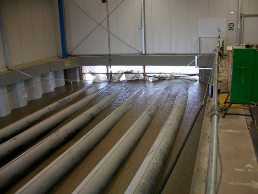 FiFB RSS Flüssigboden 2009: Kelsterbach