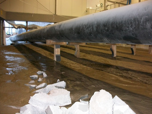 FiFB RSS Flüssigboden 2009: Kelsterbach