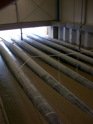 FiFB RSS Flüssigboden 2009: Kelsterbach