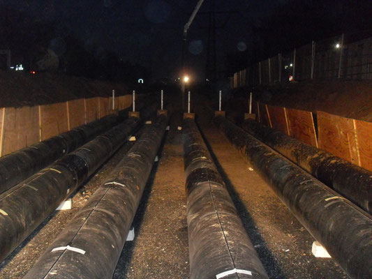 FiFB RSS Flüssigboden 2009: Kelsterbach