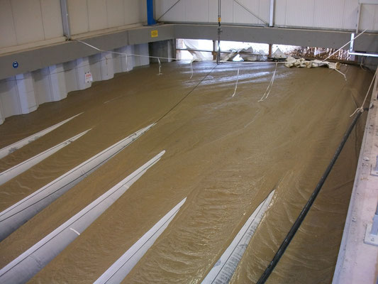 FiFB RSS Flüssigboden 2009: Kelsterbach