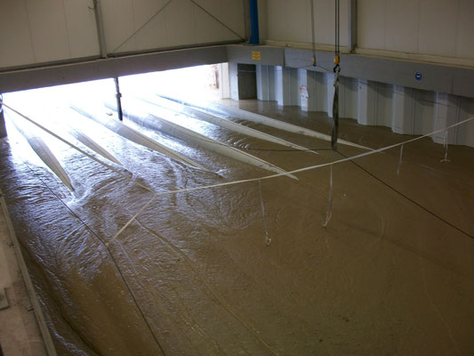 FiFB RSS Flüssigboden 2009: Kelsterbach