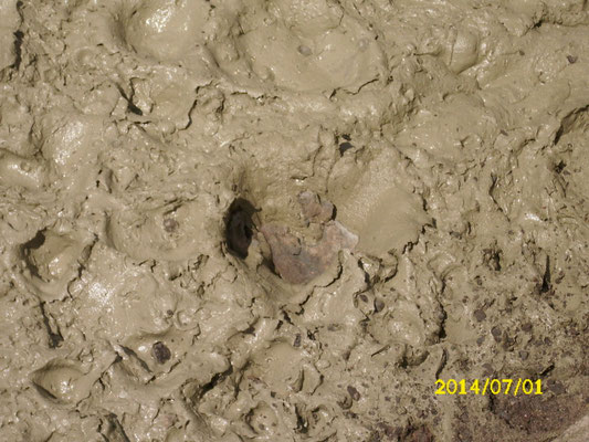 FiFB RSS Flüssigboden 2014: Raesfeld