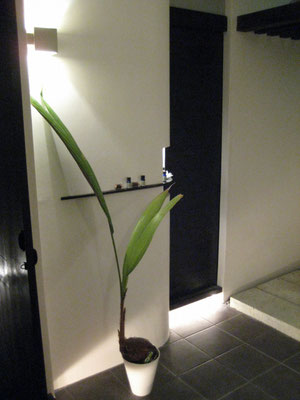 TOTAL BEAUTY RELAX BUTTERFLY 平塚（トータルビューティーリラックスバタフライ）｜近二舎一級建築士事務所