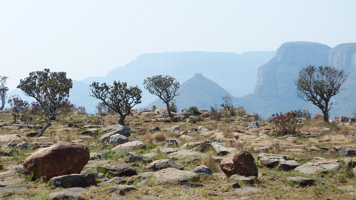 Blyde rivier Canyon