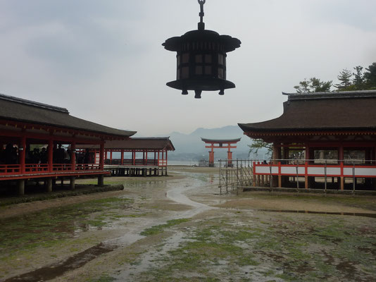 Itsukushima heiligdom bij laag tij