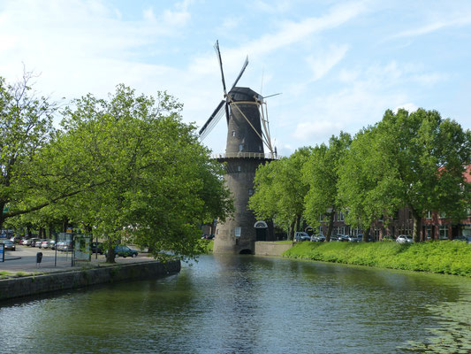 Molen De Walvisch