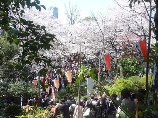 Ueno park