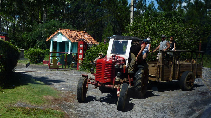 Boer met tractor