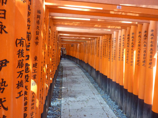 Fushimi Inari