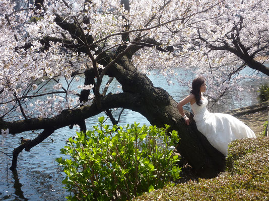 Ueno park