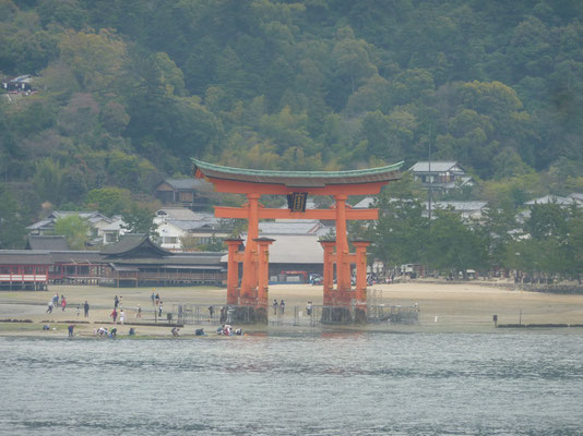 Grote Torii