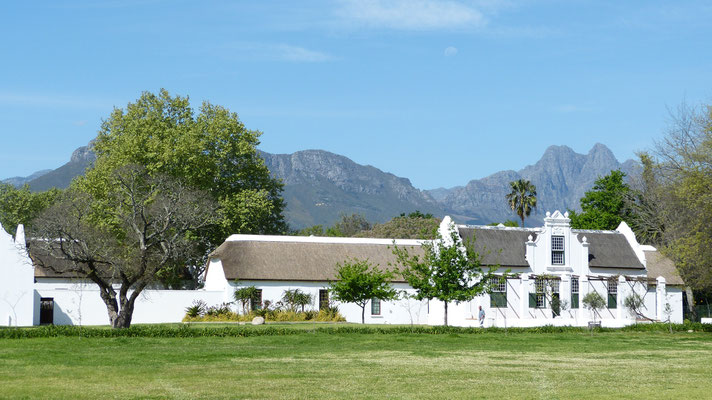 Stellenbosch