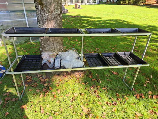 Profi Gewächshaus Bausatz - Doppelablage mit Pikierkästen vormontiert in Bad Tölz