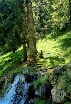 Wildtierpark Feld am See