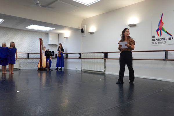 Het Danskwartier Den Haag