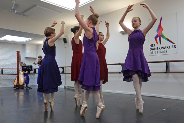 Het Danskwartier Den Haag