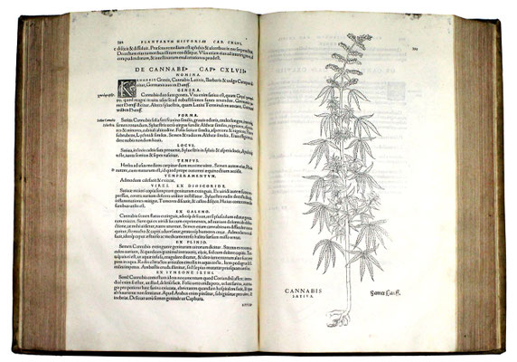 Adjugé 17 040 € - De historia stirpium commentarii insignes ..., L. FUCHS, un volume in folio, Bâle, 1542