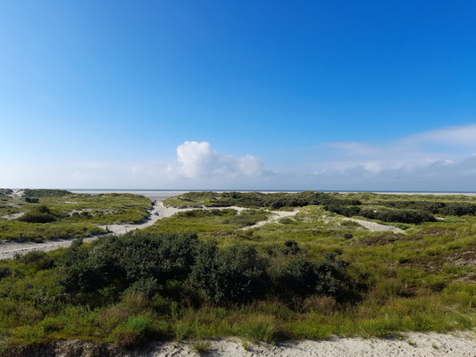 Dünenlandschaft Borkum