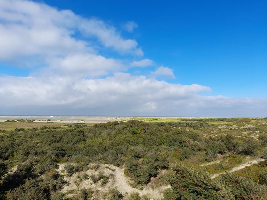 Dünenlandschaft Nordseeinsel Borkum