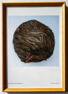 Ika Hussmann, Titel: Ein Kopf, ein Kohl, ein Wespennest, 2011, Technik: Fotografie, 30x21 cm (ohne Rahmen)
