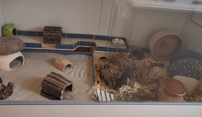 Artgerechtes Gehege Hamsterrettung Nord