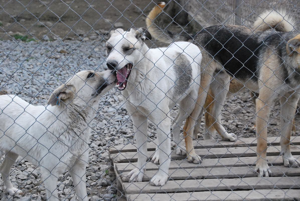 Kati und Kiti rechts