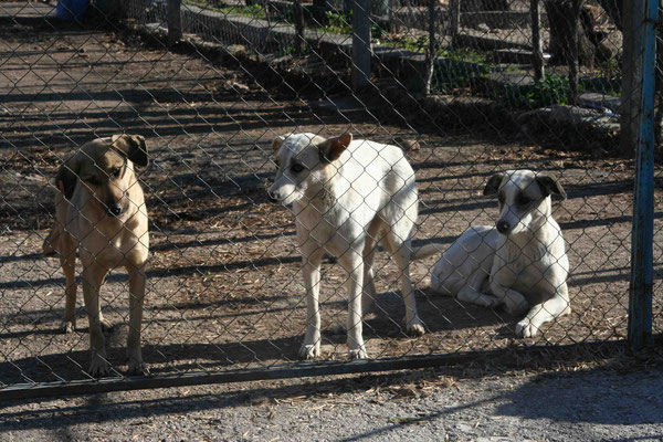 Kiti und Kati mit Frida (links)