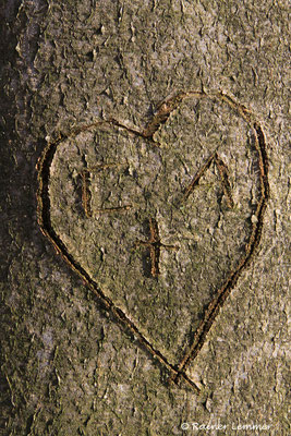 Wo die Liebe verewigt wurde