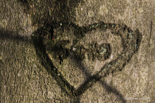 Wo die Liebe verewigt wurde