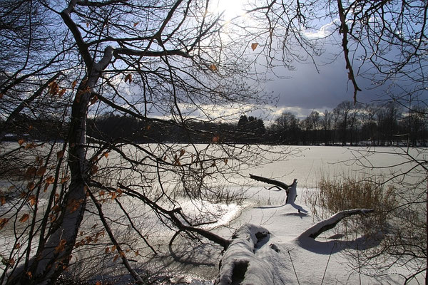 Rundweg um den Postweiher
