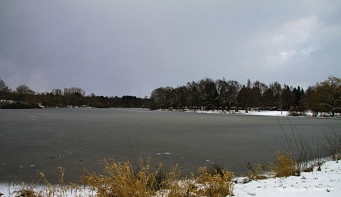 Hausweiher