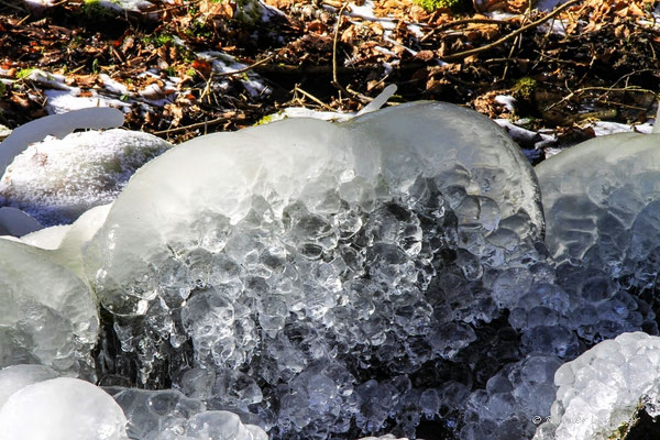 Eis Skulpturen am Dreisbacher Bruch