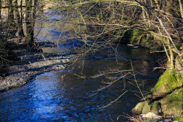 Nister bei Marienstatt