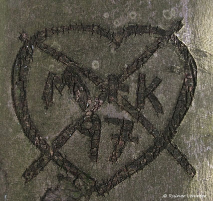 Aus mit der Liebe