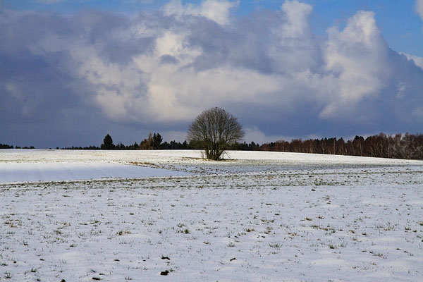 Allleine auf weiter Flur