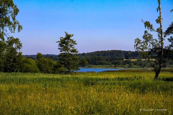 Dreifelder Weiher