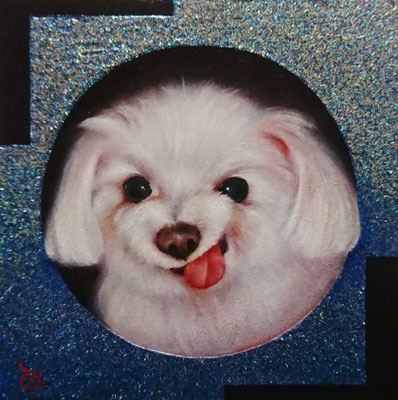 SHUTTER CHANCEーDOGー／oil on panel・S0(180×180)・2024