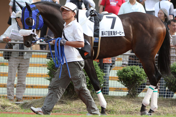 第47回東海ダービー 名古屋競馬場 の結果 オグリキャップを輩出した岐阜の地方競馬 笠松けいば 第47回東海ダービー 名古屋競馬場 の結果 オグリキャップを輩出した岐阜の地方競馬 笠松けいば