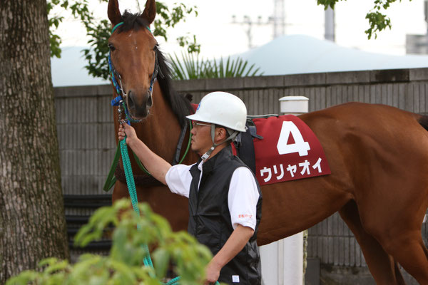 第55回のじぎく賞 園田競馬場 の結果 オグリキャップを輩出した岐阜の地方競馬 笠松けいば