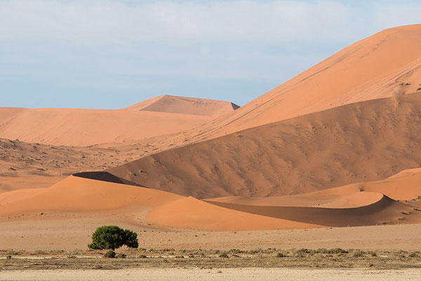 Sossusvlei - Désert du Namib