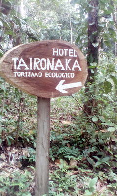 Taironaca