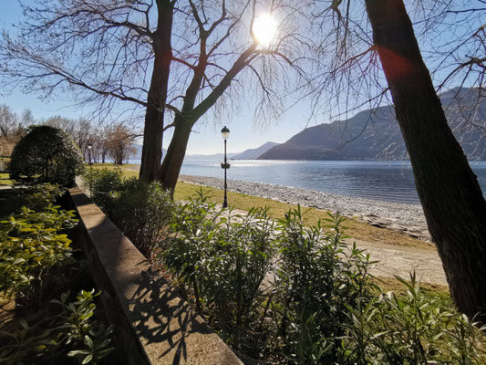 Aussicht vom Garten auf den See Richtung Cannero - Ferienhaus Villetta Concetta in Maccagno am Lago Maggiore