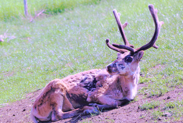 Besuch Auf Dem Selbstpfluckhof Der Familie Furst In Dachsen
