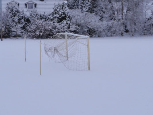 Soviel Schnee ...