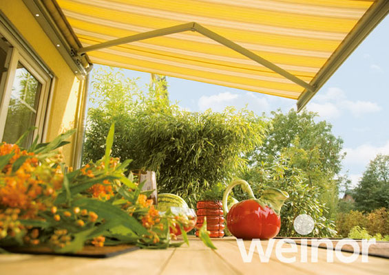 Semina - frisches, junges Design