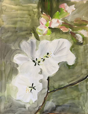 Sakura, Aquarell auf Papier, 2025