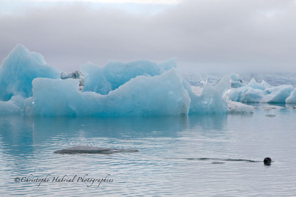 Lac de Jökulsarlon